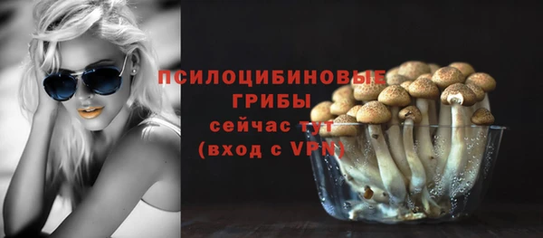 шишки Богданович