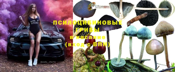 дживик Бородино