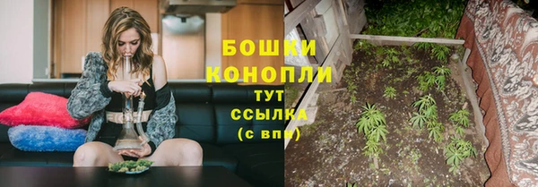 дживик Бородино