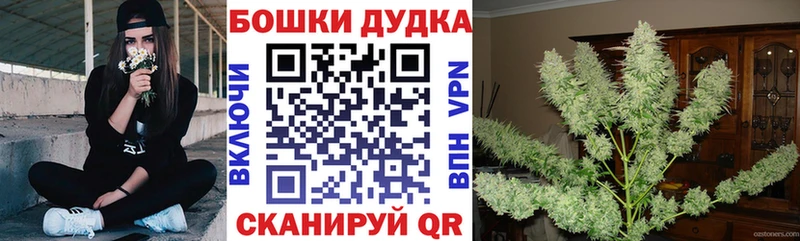 кракен вход  Весьегонск  Шишки марихуана конопля  закладка 